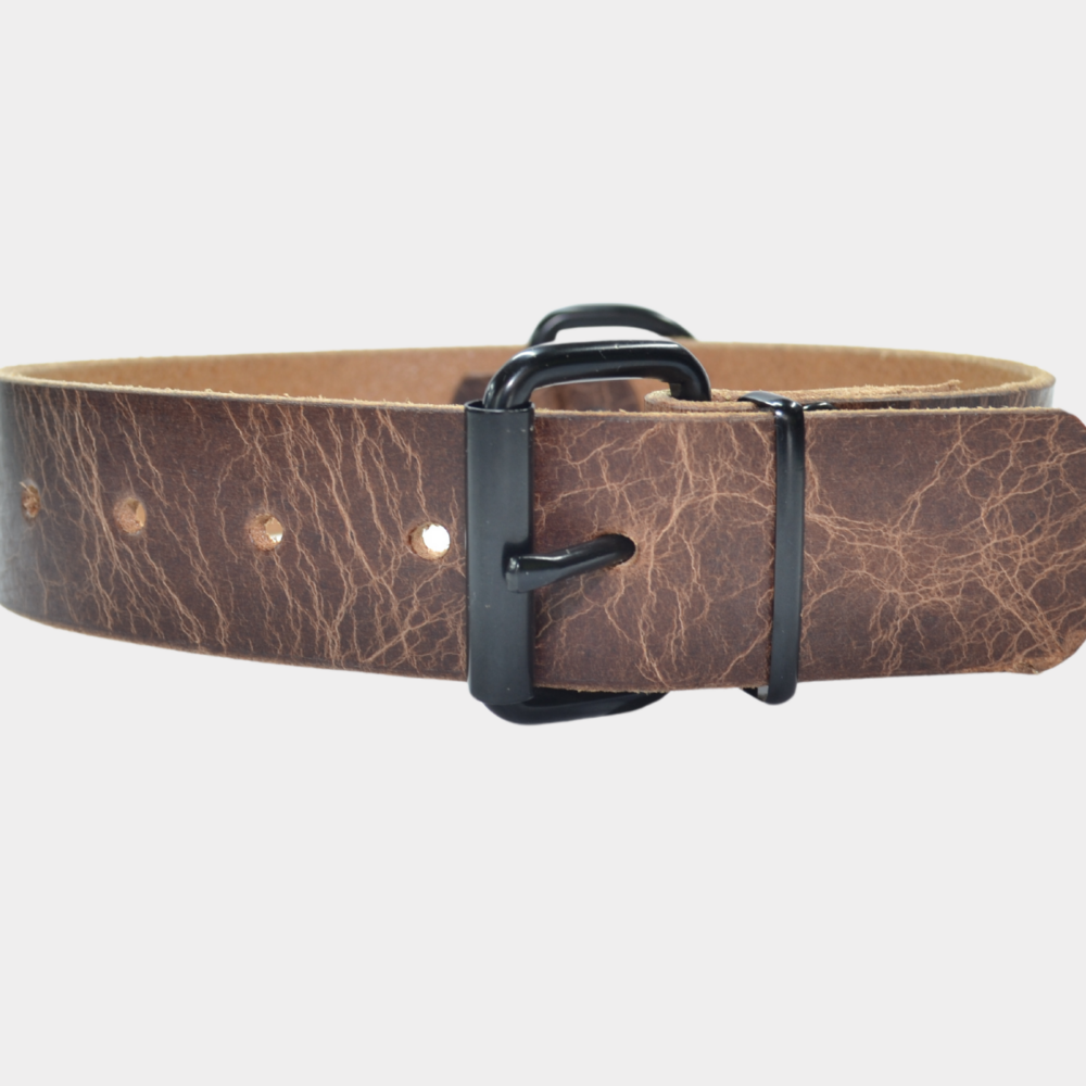 Halsband met matte zwarte toebehoren